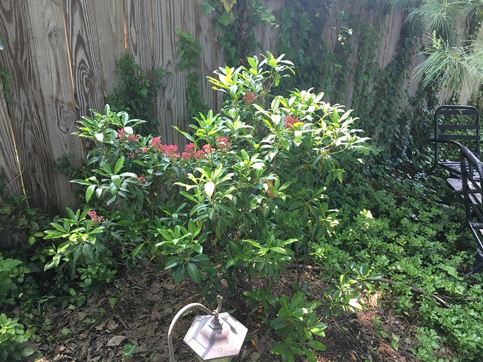 1557C9F6-F8CA-4B4A-A88C-7CC6433675E1