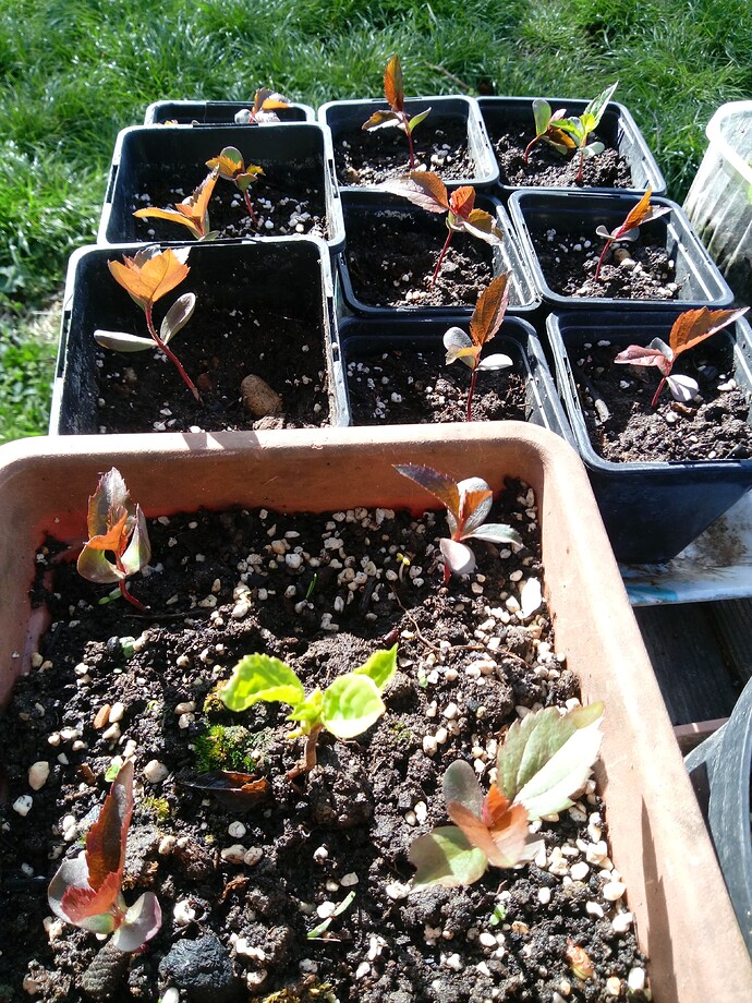 IMG_20240405_093208_722