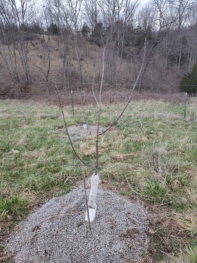 IMG_20250320_084139771_HDR