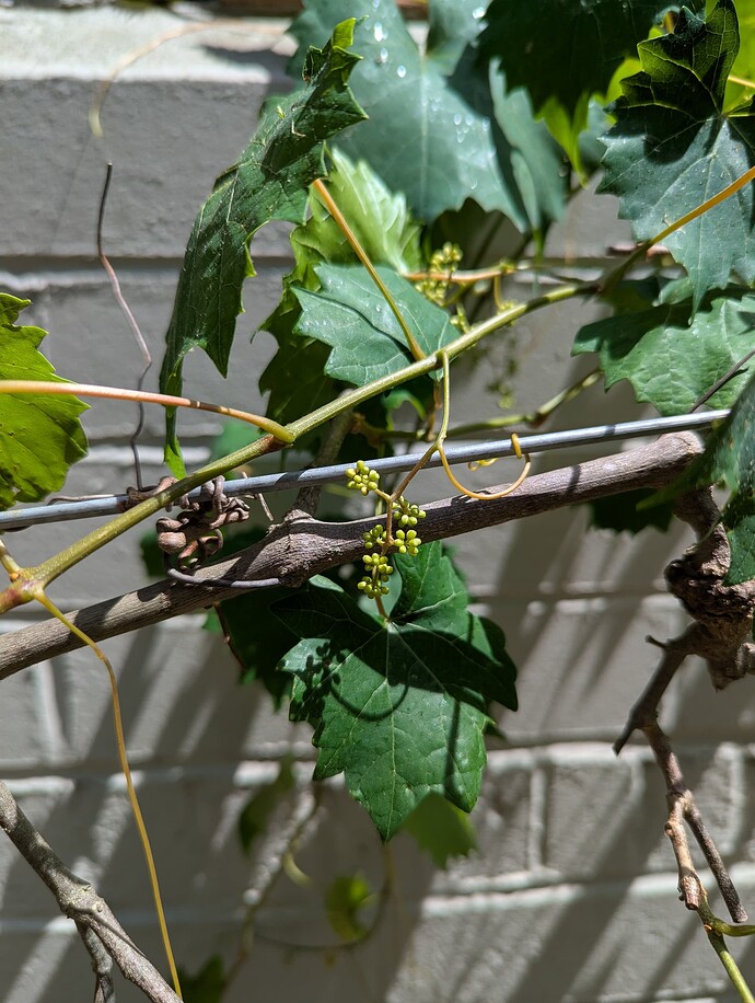 PXL_20250501_185732622