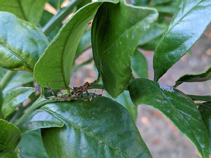 PXL_20220906_000303128.MP