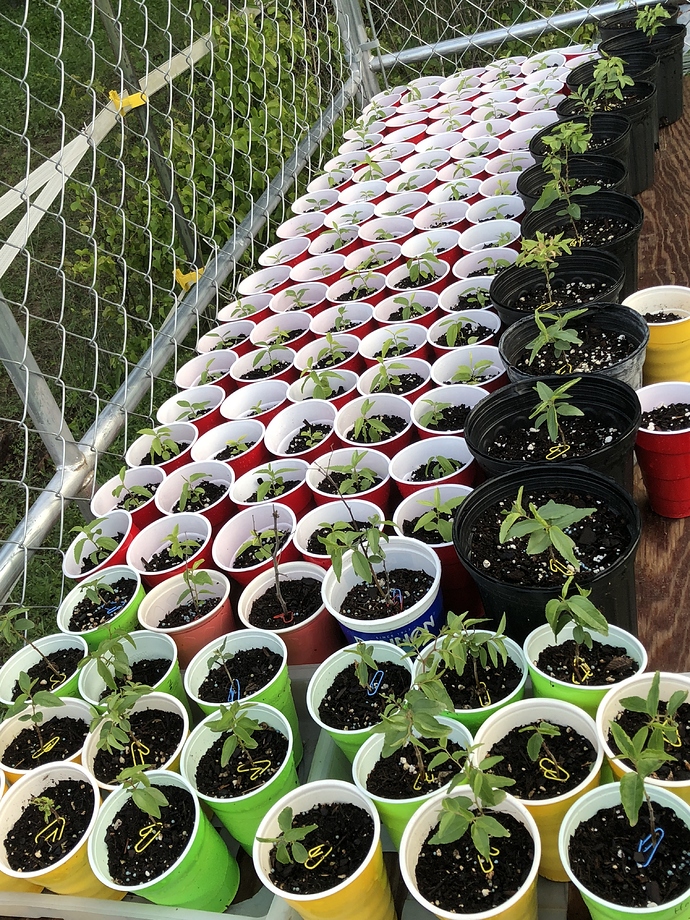 EE8FD92F-3118-4136-9A30-5CB2A4D94728