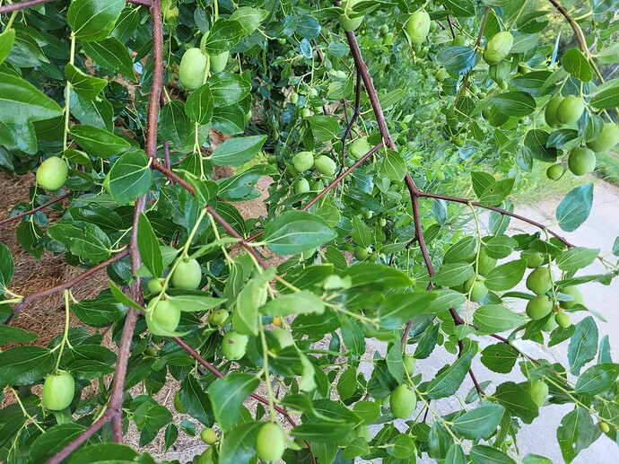 16604815622157128679954256144022