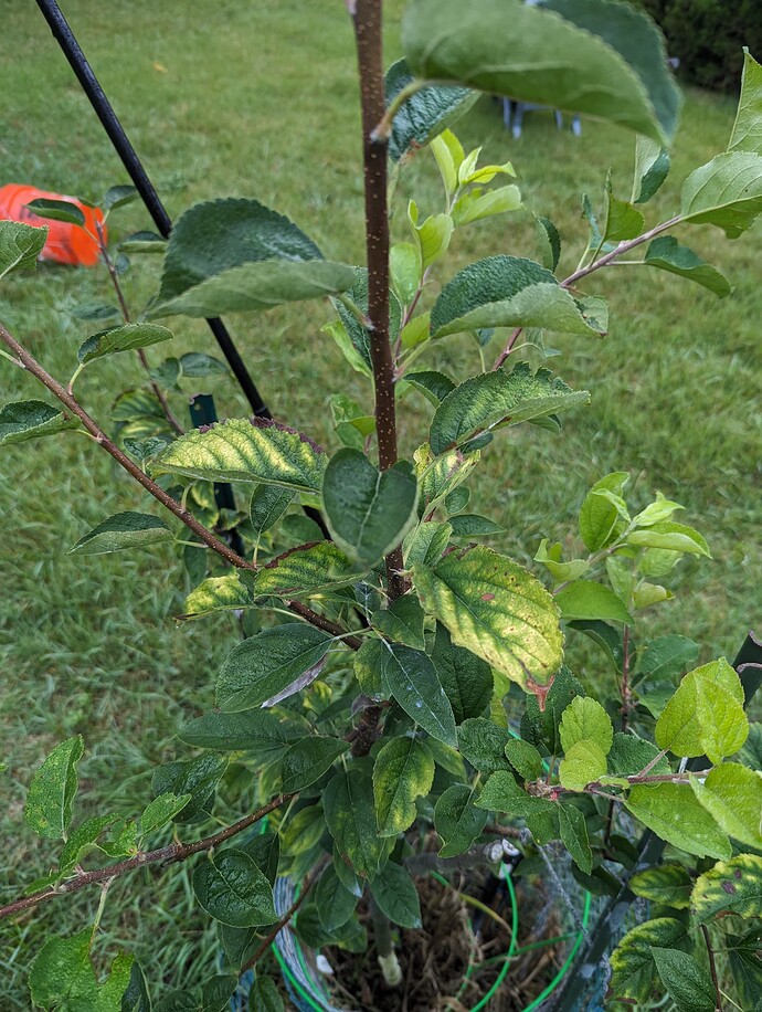 PXL_20230724_113457158