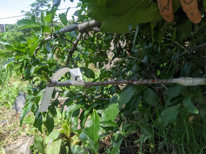 PXL_20220615_175133177