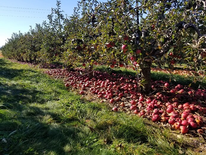 Resizer_17308533786083