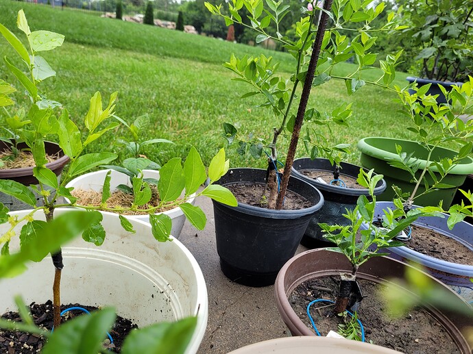 16568598289424059805358192440513