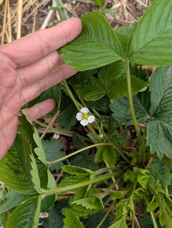 PXL_20250515_200757379