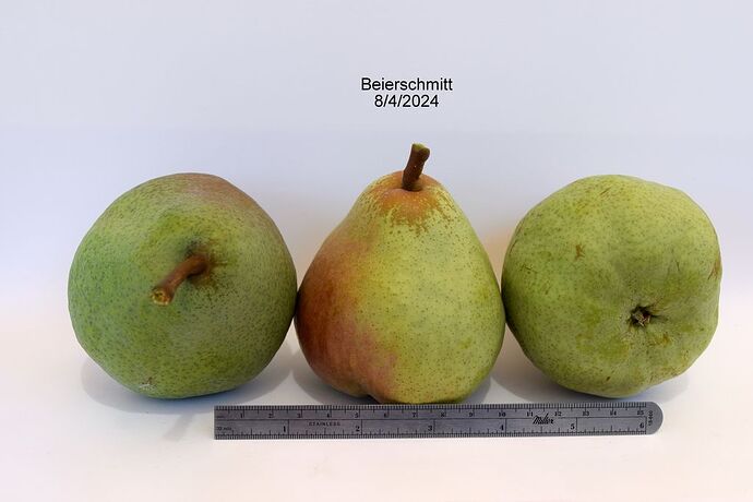 Beierschmitt8-2-2024#1RS