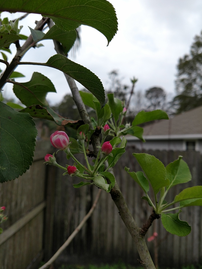 IMG_20180212_172132269