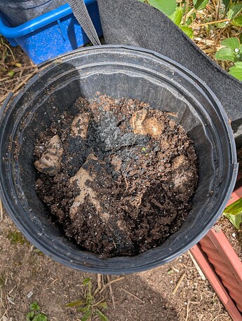 PXL_20250515_200401636