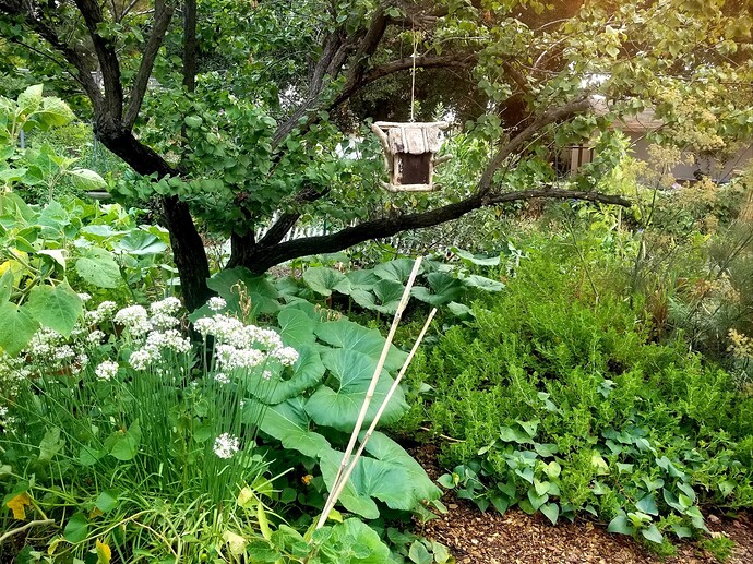 a0a427f2-7e6d-47d0-8b7e-eddf458ac7ee