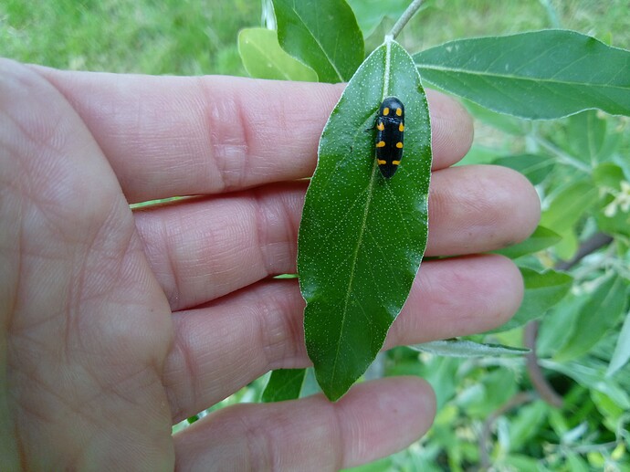 IMG_20240503_142529_231