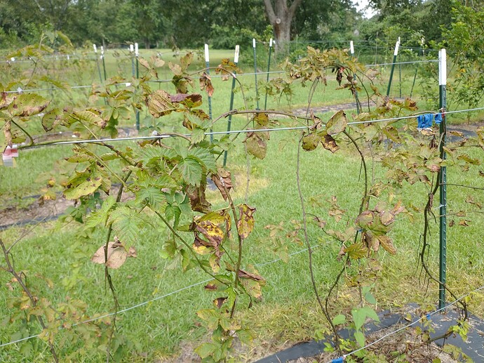 IMG_20220904_110923390