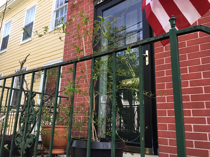 CD542AF3-D0F9-4FD6-B9E5-44AF590AC371