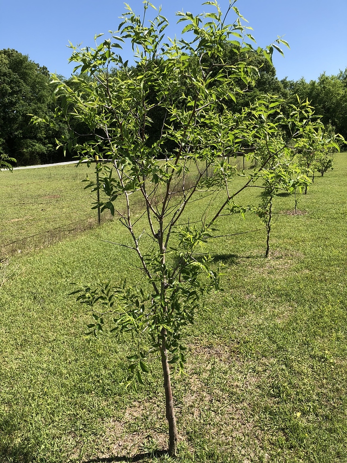 4036C1E9-258D-4A61-A64B-7E5572915805