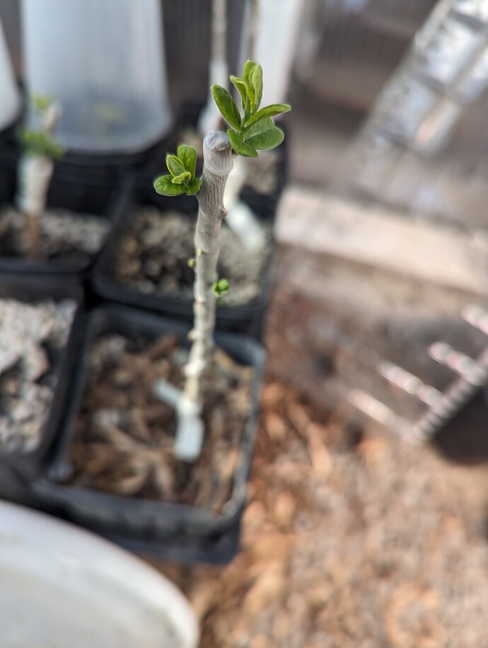 PXL_20240509_235458920