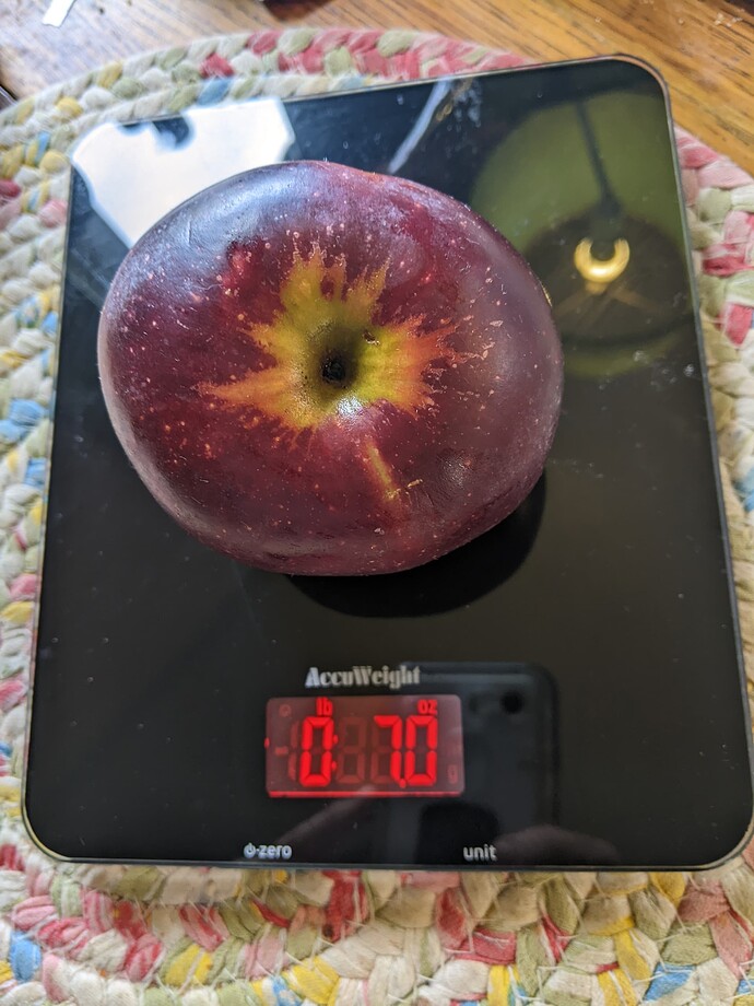 PXL_20231018_174430818