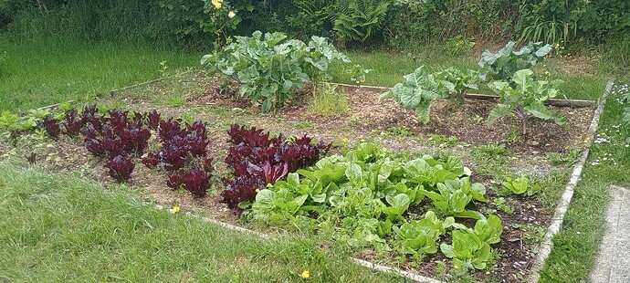 IMG_20250528_110003267_HDR