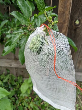 PXL_20220618_231415547