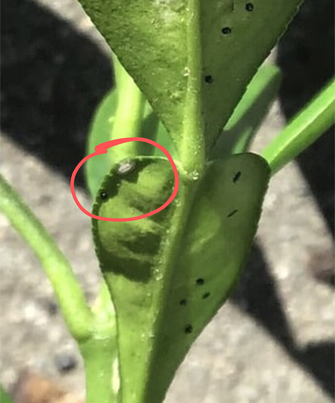 Screenshot_20240523-192631