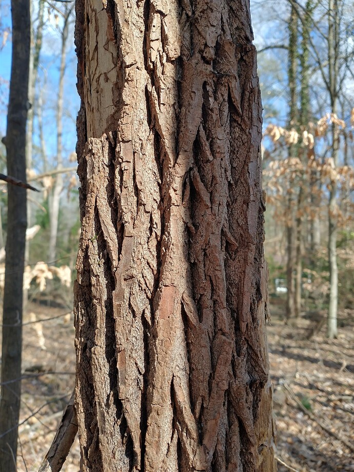 IMG_20240224_150757147_HDR