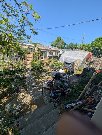 PXL_20250608_215129789