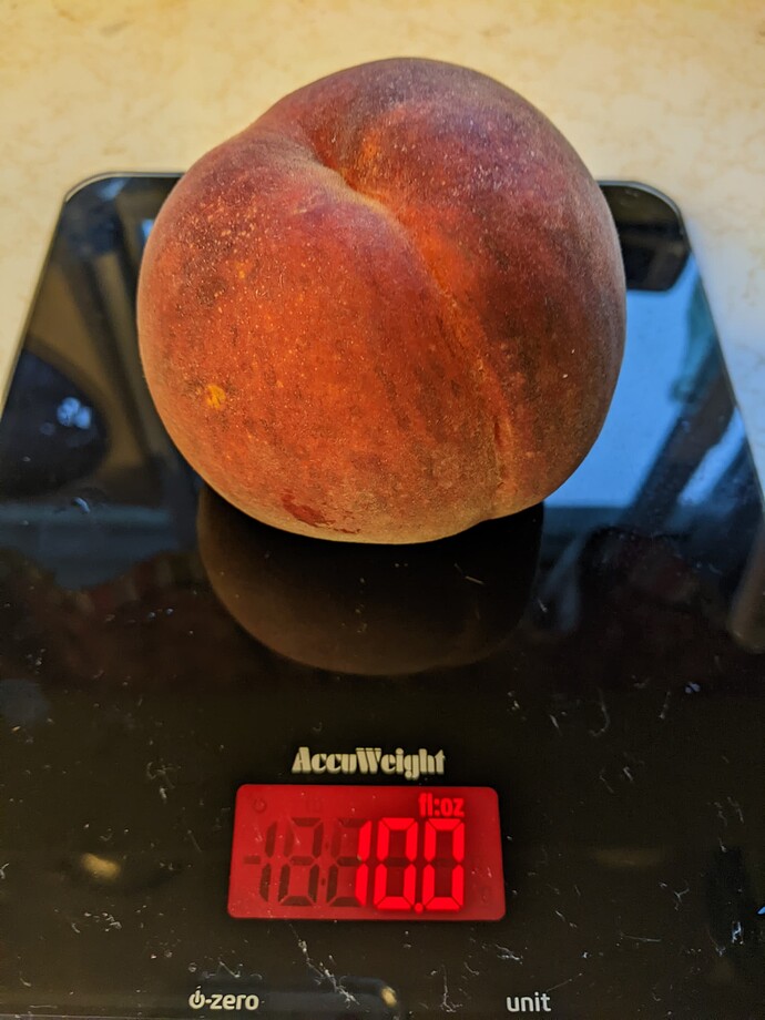 PXL_20220819_233754360