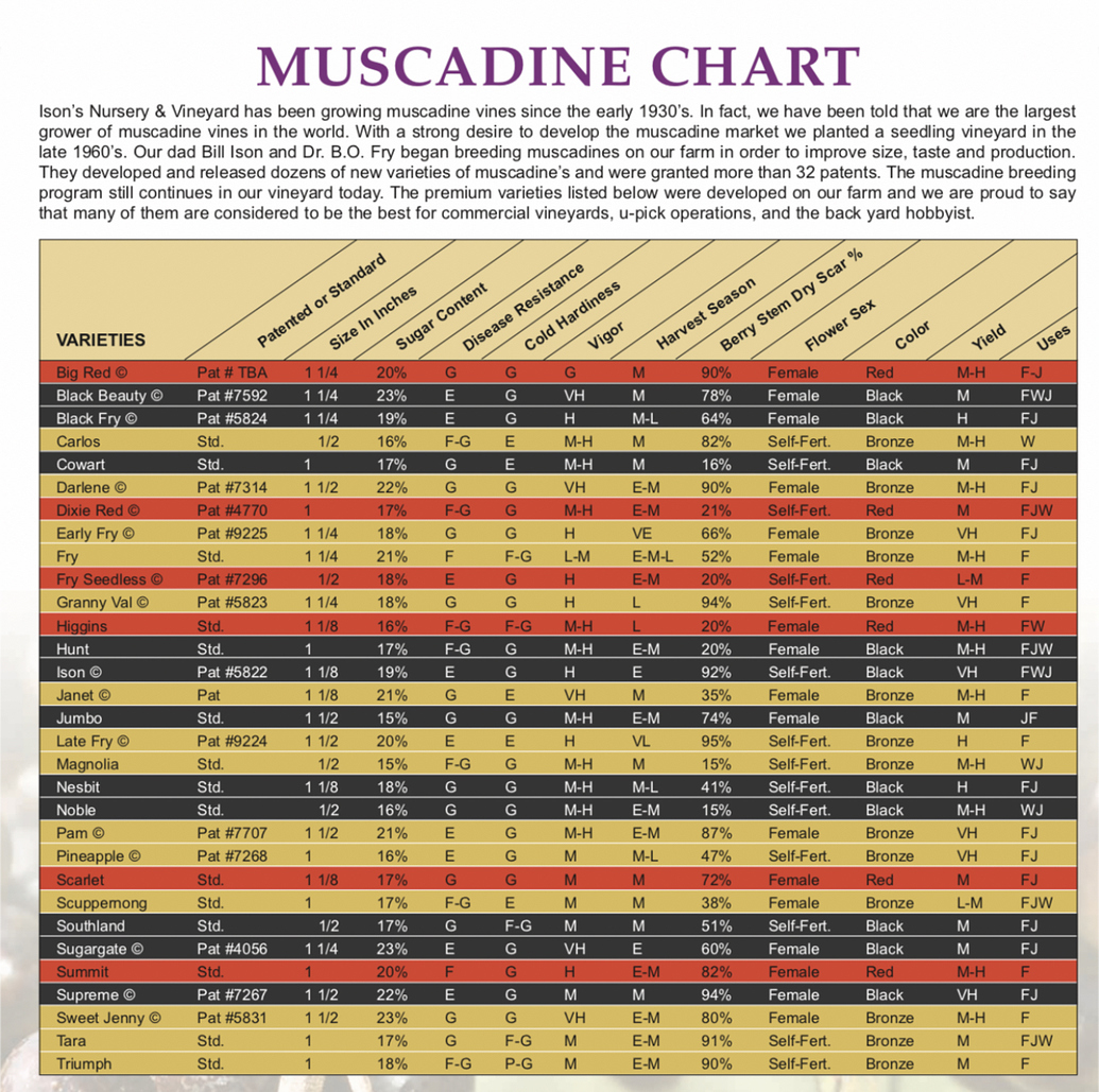 Help Me Select 1 of 3 Muscadines please General Fruit Growing