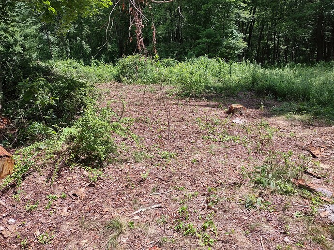 IMG_20230723_120604921_HDR