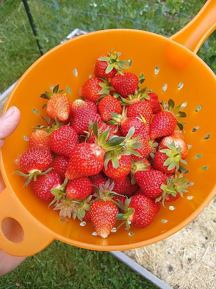 54cb7ae8bb40d608e3244f431c6380bd723f6ba4-14