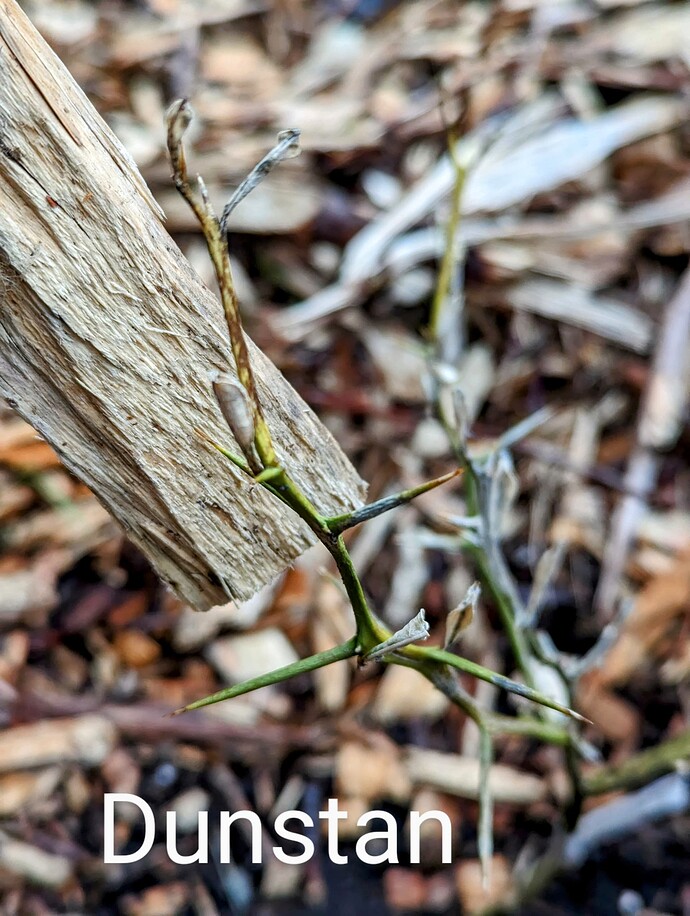 PXL_20240205_165913354~2