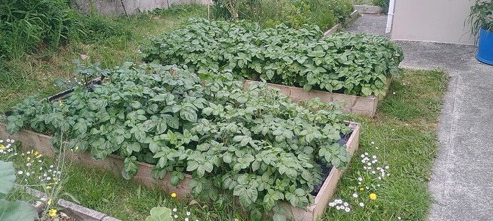 IMG_20250528_110015746_HDR