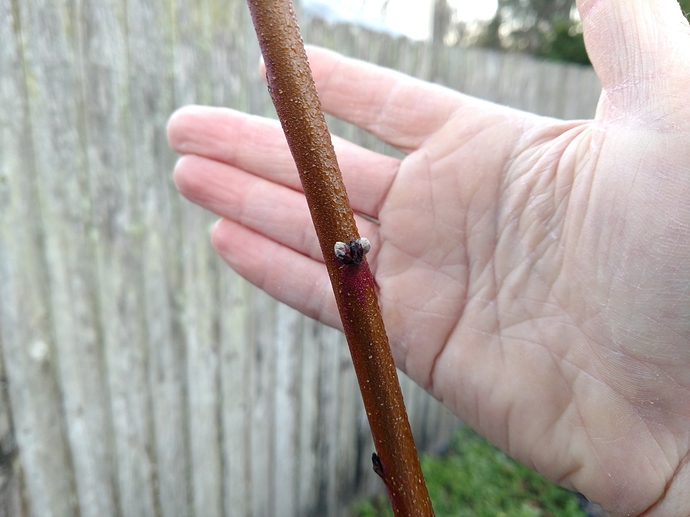 IMG_20180131_073239002