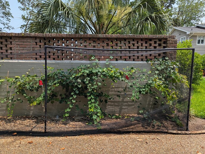 PXL_20250601_180749031