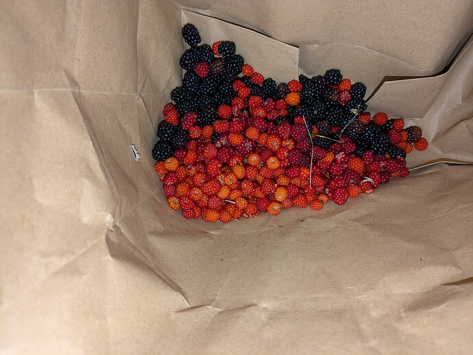 PXL_20240708_002609777