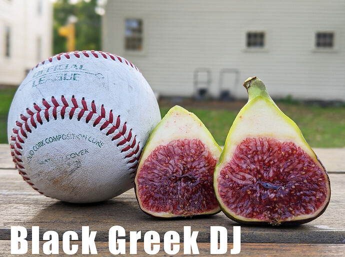 Black Greek DJ