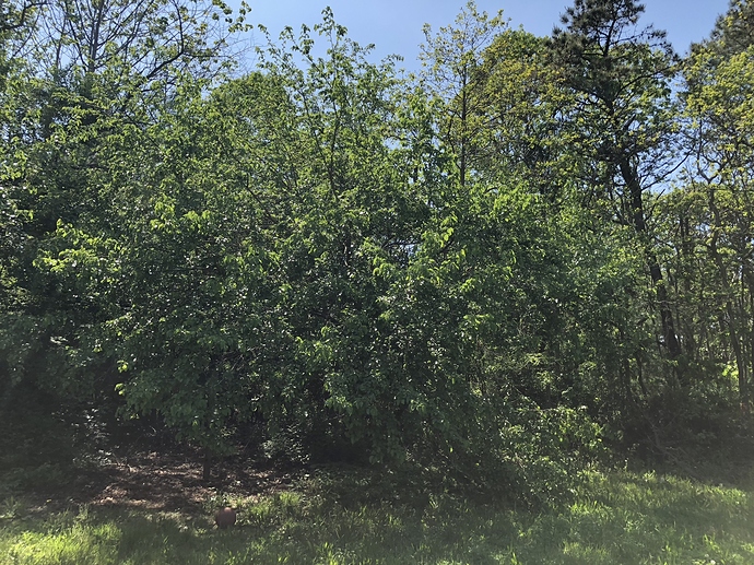 BDB594DF-38FA-41C7-B92B-326A48ADADE3