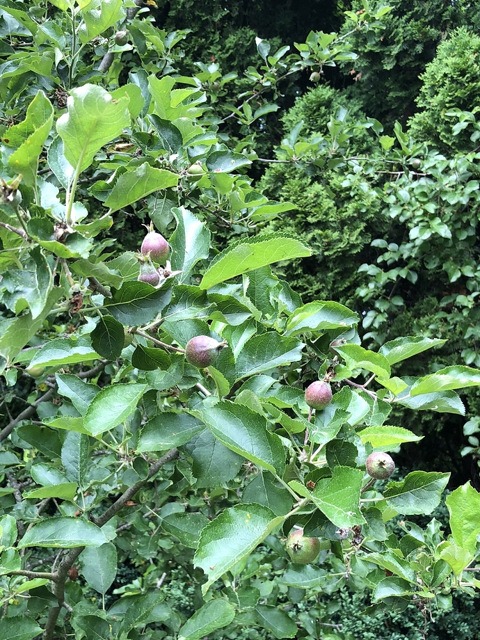 D0515A15-4845-4E33-ACAA-8AD1B4FC4740