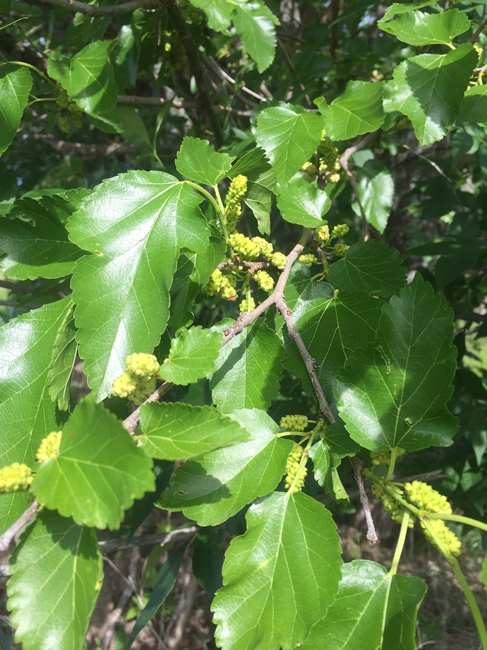 7B97C14A-873A-45AB-872B-4ECAA74A1506