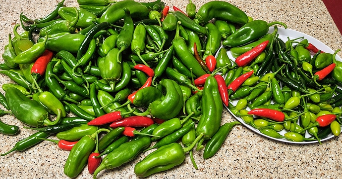 Peppers%2008-22-20