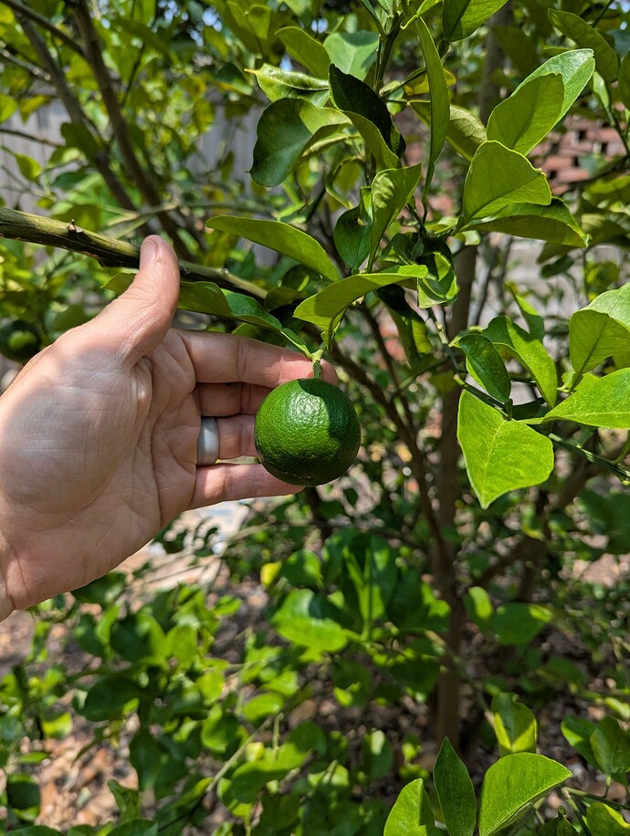 PXL_20250601_180928161