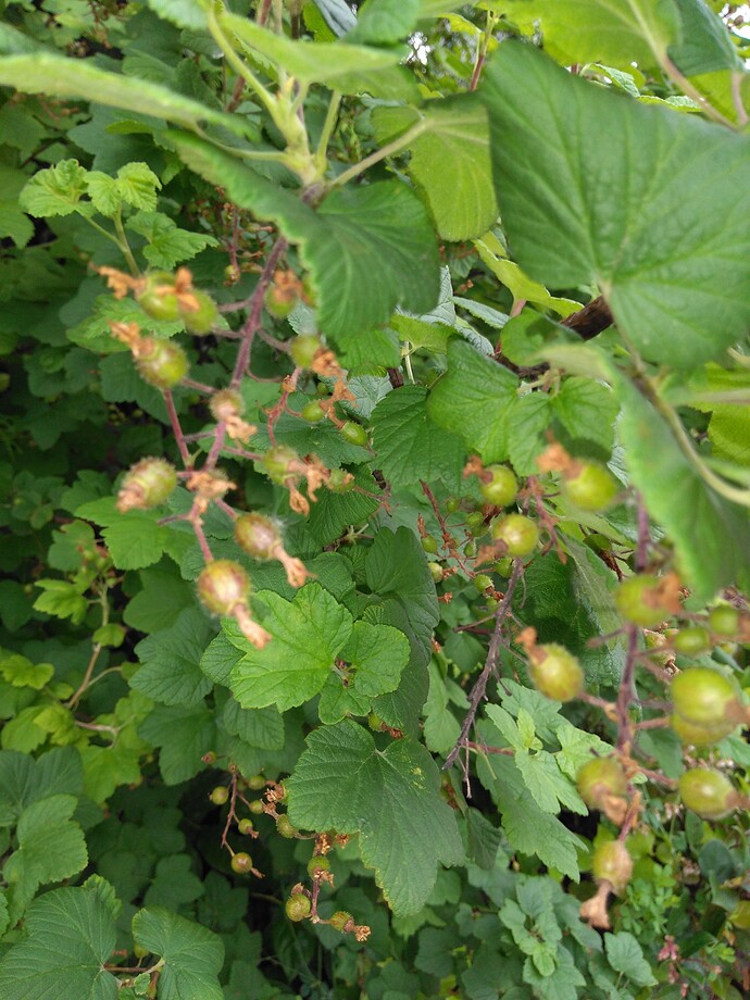 IMG_20220614_140548338