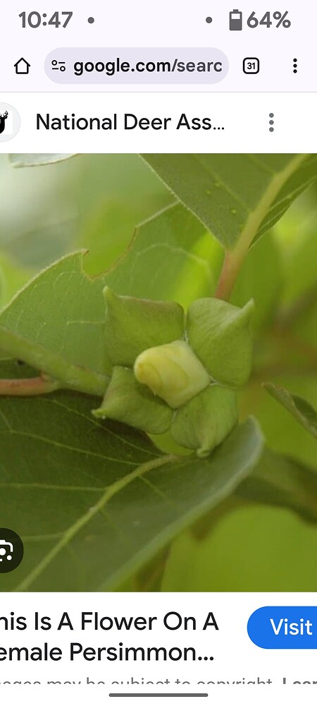 Screenshot_20250411-104739