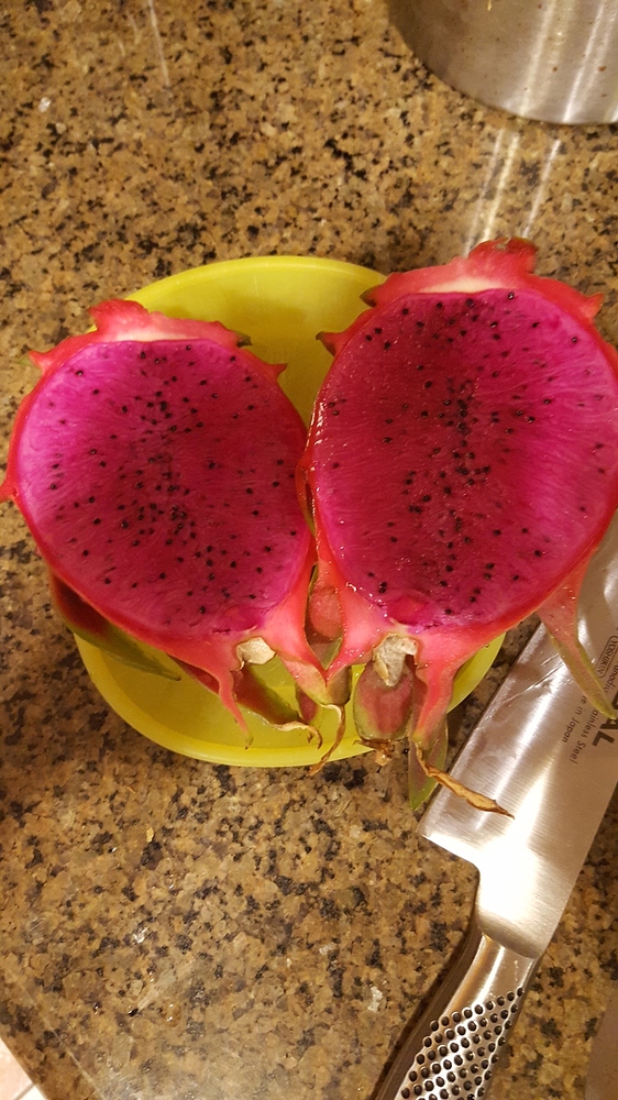 Dragonfruit 20180812_2