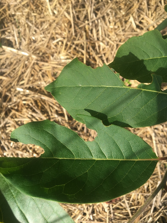 79D29ECF-3EA2-4FEE-B4FB-278004E8875F