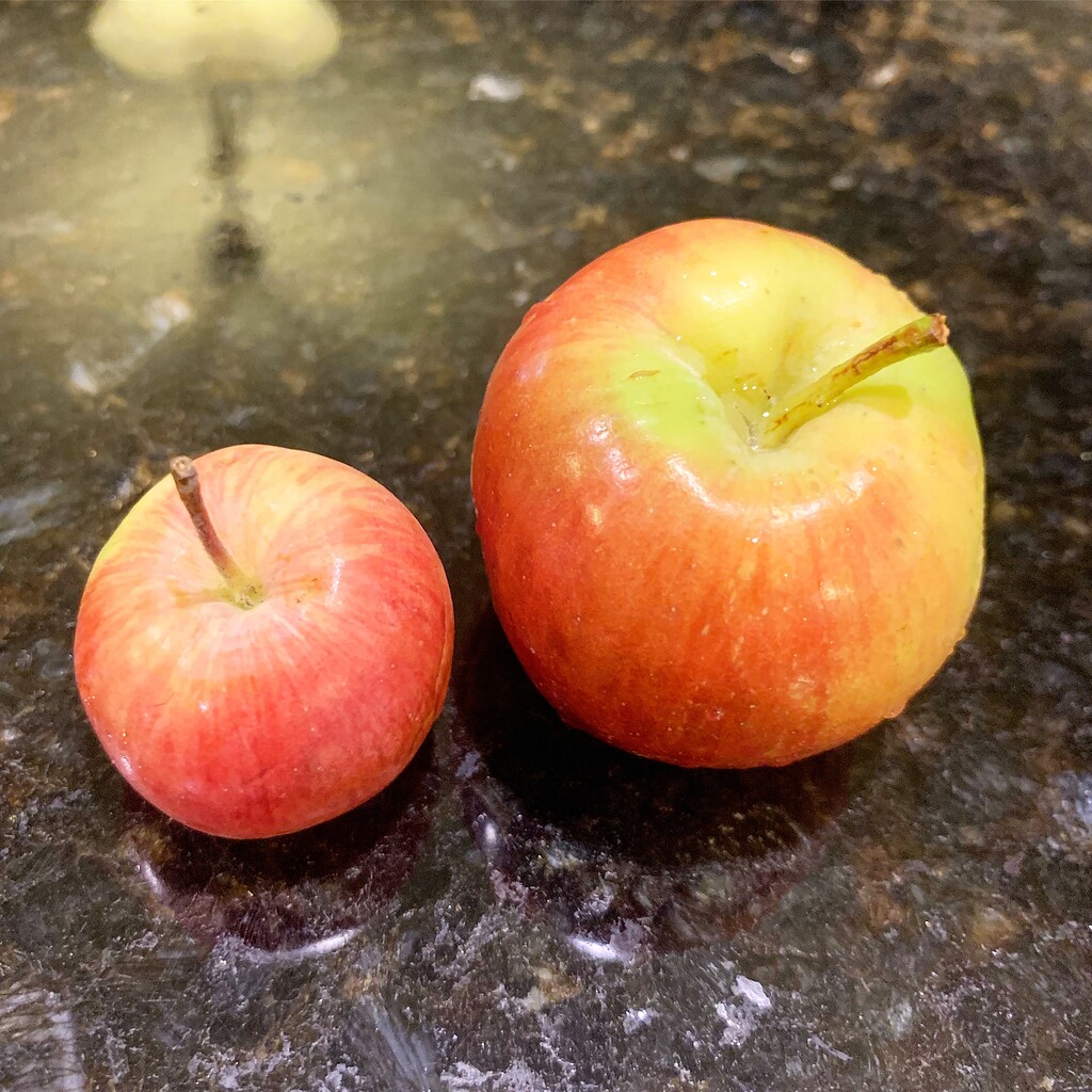 Unusual apples I've found in shops Pictures! Growing Fruit