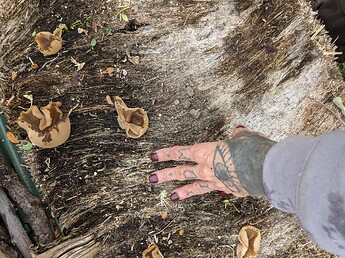 PXL_20241016_214017190