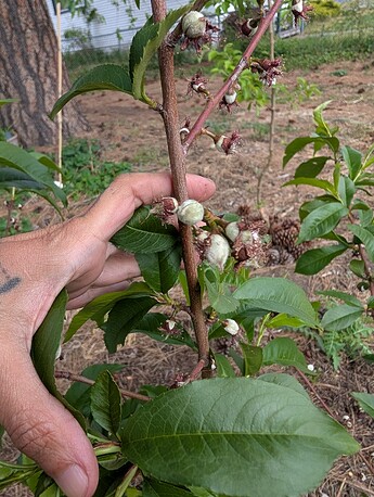 PXL_20250515_204337628