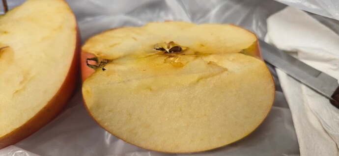 Resizer_173893883833811